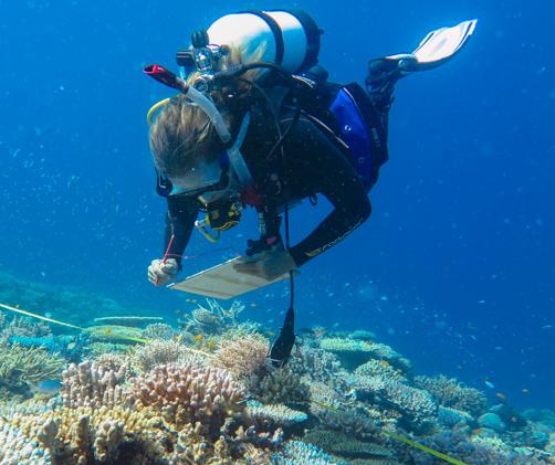 diver with clipboard on reef