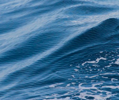 surface of water