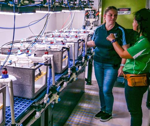 scientists next to many aquaria