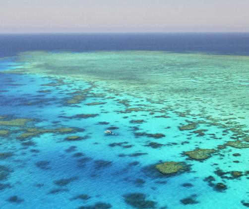 aerial photo over coral reef