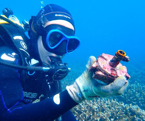 diver looks at coral re-seeding device underwater