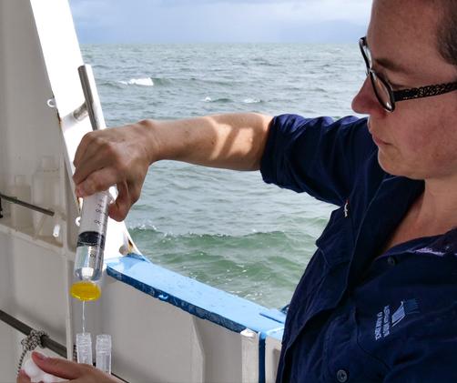 a scientist filters water with a syringe