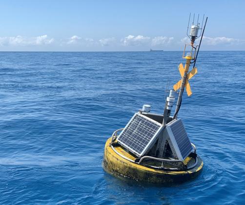 yellow buoy floats on a calm sea