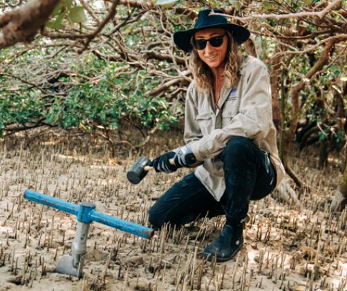 A woman crouches amongst mangrove roots holding a mallet whilst collecting mud samples
